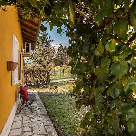 Apartman Secret Garden Liliad - *